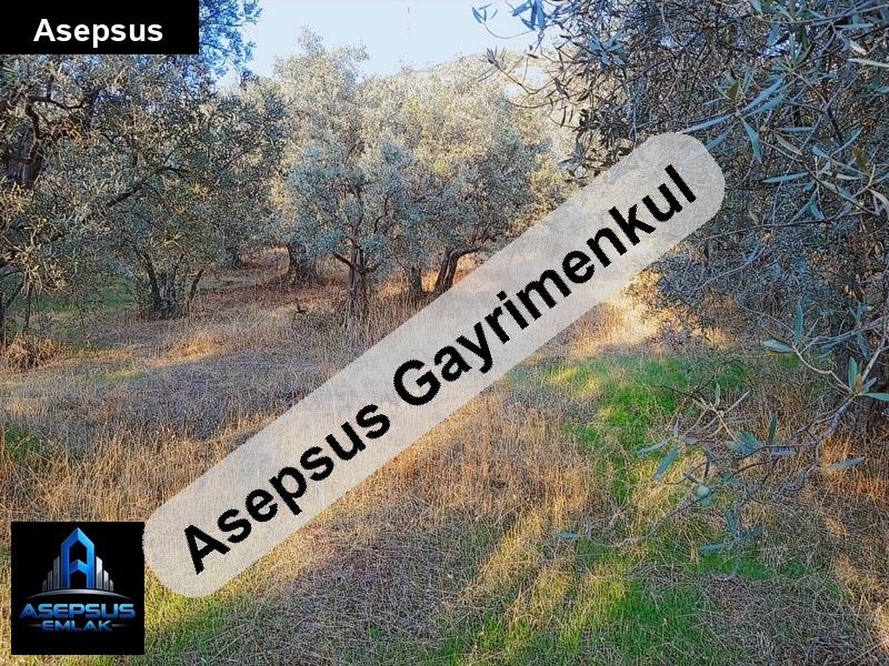 Asepsus Emlak'tan  atatürk mh. 'sinde satılık arsa