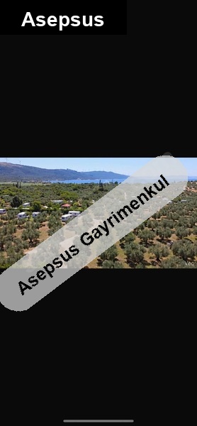 denize 900 mt. , asfalta yakın, 1.813 m2 fırsat dutluk!