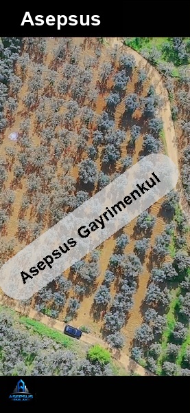 Asepsus Emlak'tan  atatürk mh. 'sinde satılık arsa