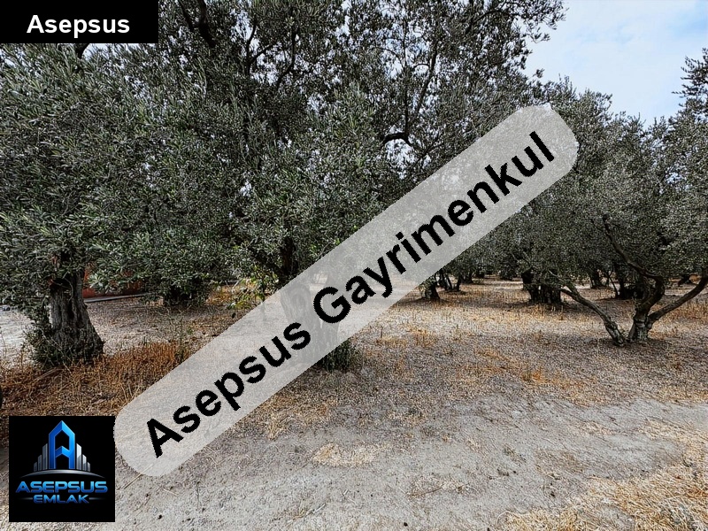 Asepsus Emlak'tan  atatürk mh. 'sinde satılık arsa