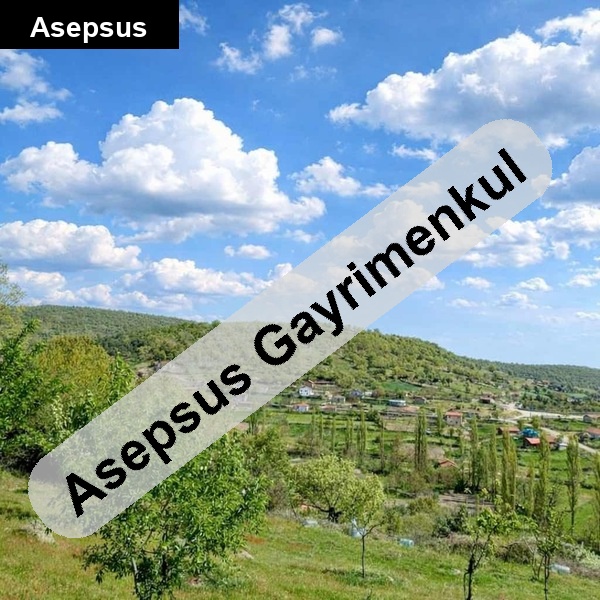 habi̇bler'de 2320 m2 manzaralı arsa