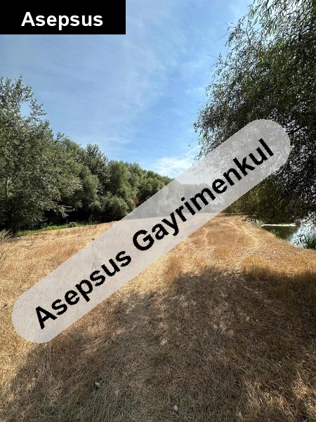 susurluk dereköy 3.5 dönüm verimli | dere kenarı | yatırımlık