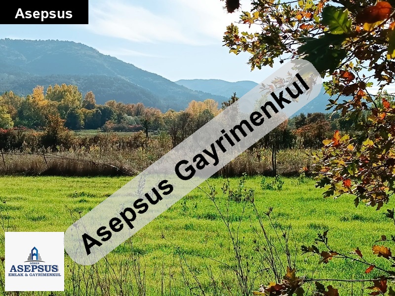 Asepsus Emlak'tan 3+1 karaaydın köyü 'sinde satılık arsa
