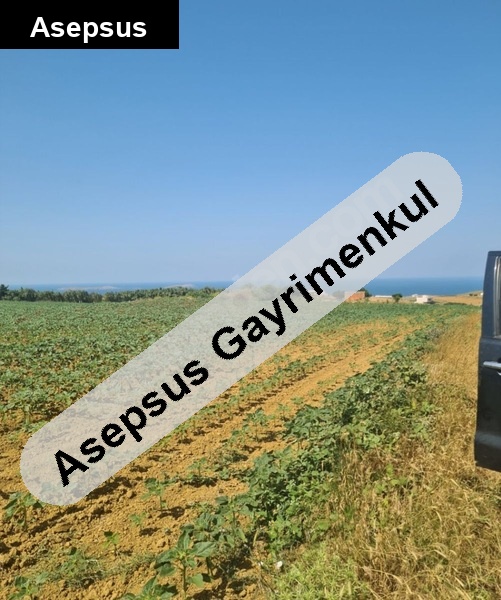 yatırımlık kooperatif hisseleri