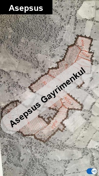 sahibinden ges/res/ceviz/tarim ve hayvancılığa uygun toplu arazi