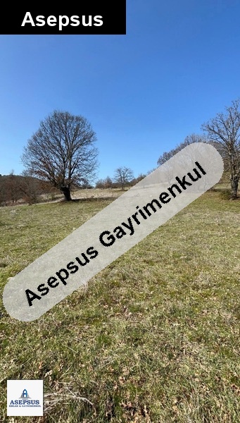 Asepsus Emlak'tan 3+1 araovacık köyü 'sinde satılık arsa