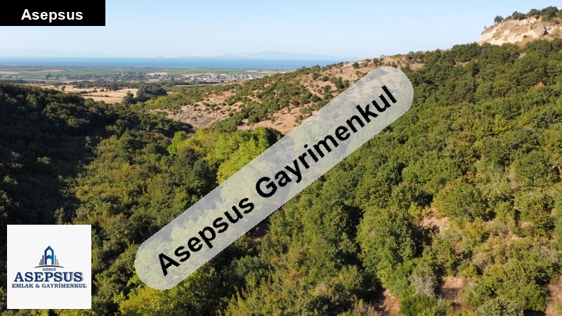 Asepsus Emlak'tan 3+1 i̇lyasalan köyü 'sinde satılık arsa