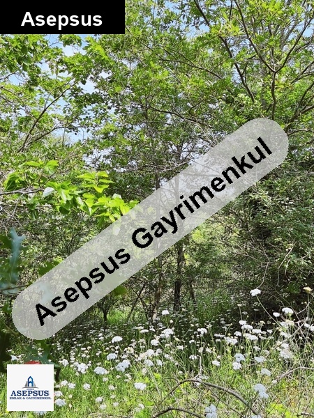 Asepsus Emlak'tan 3+1 sazoba köyü 'sinde satılık arsa