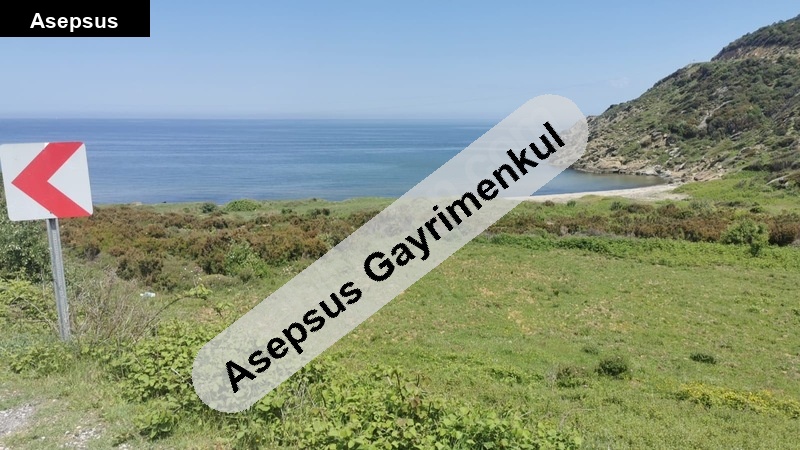 balikesi̇r erdek ballipinar