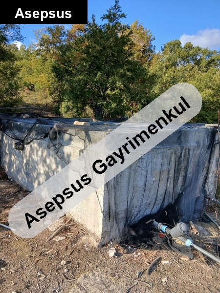 satilik cevi̇z tarlasi