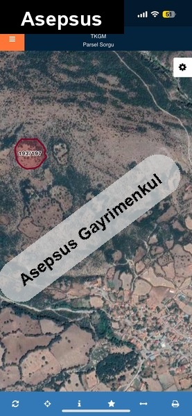 balyada mükemmel yatirim firsati!!!