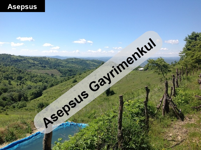 balikesi̇r gönende 74 dönüm tek parsel 14 yillik cevi̇z bahçesi̇