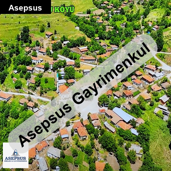 Asepsus Emlak'tan 3+1 karadoru köyü 'sinde satılık arsa