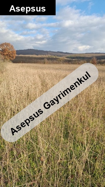 emi̇npinari mahallesi̇ 7.267 metrekare yatirim firsati!