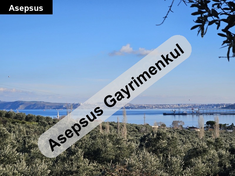 aci̇l satilik aradiğim evi̇ bulduğum i̇çi̇n satiyorum.