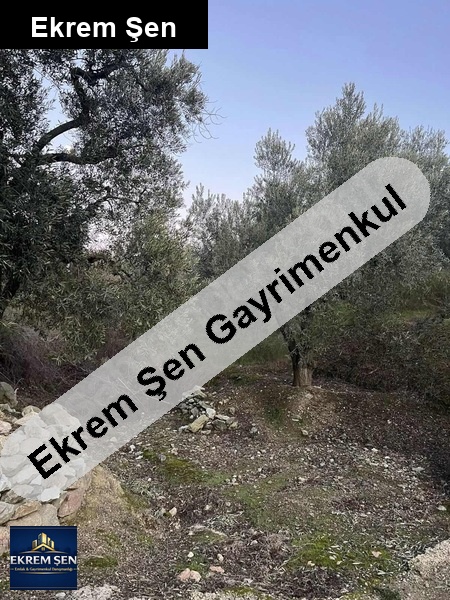 sahi̇le ve merkeze yakin tek tapu