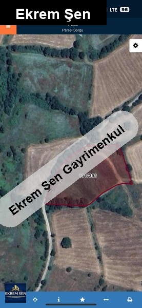 karesi̇ taşkesi̇ği̇nde tarla