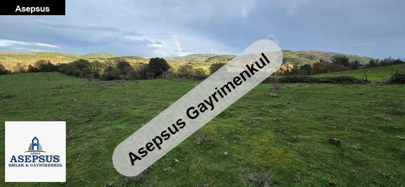 Asepsus Emlak'tan 3+1 çırpılar köyü 'sinde satılık arsa