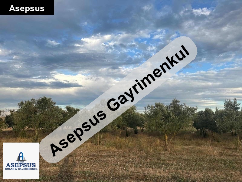Asepsus Emlak'tan 3+1 örtülüce köyü 'sinde satılık arsa
