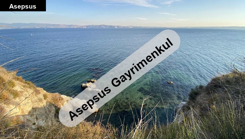 sahi̇bi̇nden tek tapu lebi̇derya arsa aci̇l &amp; pazarliksiz