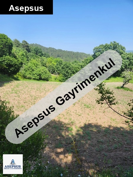 Asepsus Emlak'tan 3+1 güzeloba köyü 'sinde satılık arsa