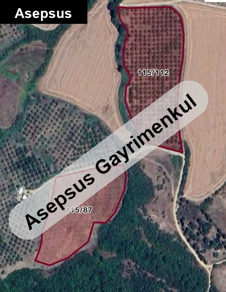 balıkesir manyas eski manyasta toplam 31.900 m² (18.400 + 13.50