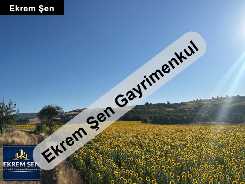 yıldız mah. 15.8 dönüm tarla