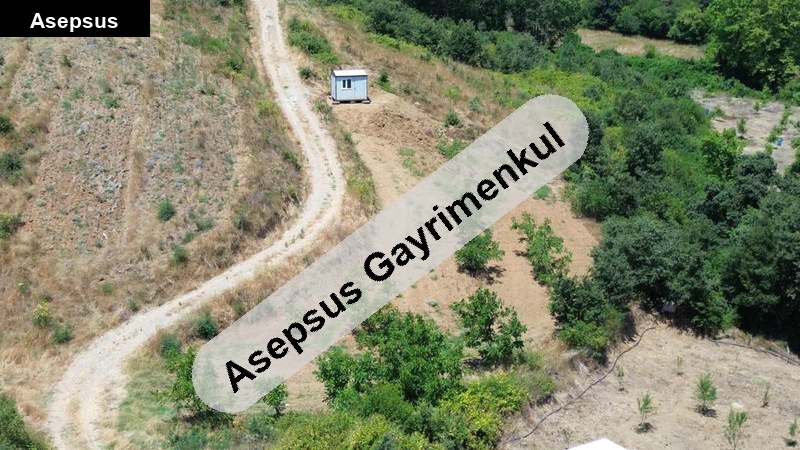 bayrama özel fiyat yetişen alır. kredi kartı geçer