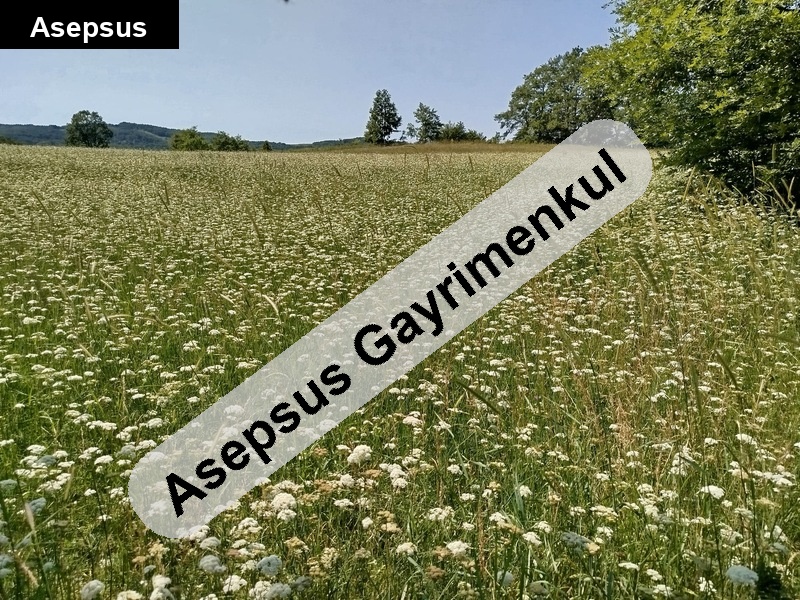 balikesi̇r gönen kocapinarda 20 dönüm tarla