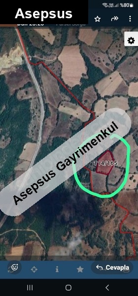 7142m2.. son fi̇yat....duble yola 290 m balıkesir balya da..