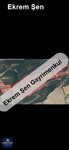 118 dönüm çiftlik hayvancılık ve yatırıma uygun balıkesir