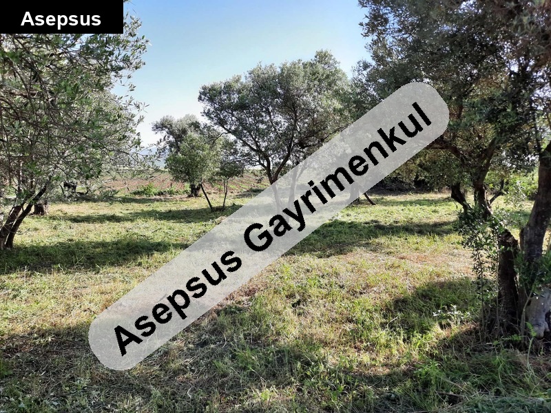 yola cepheli yatırım fırsatı