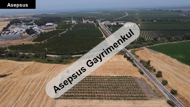 özel çeşitlerle tahsis edilmiş yatırımlık kiraz bahçesi