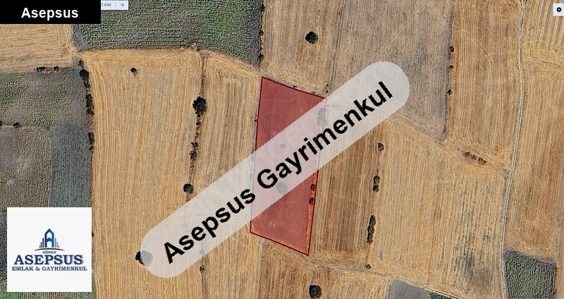 Asepsus Emlak'tan 3+1 sinekçi köyü 'sinde satılık arsa