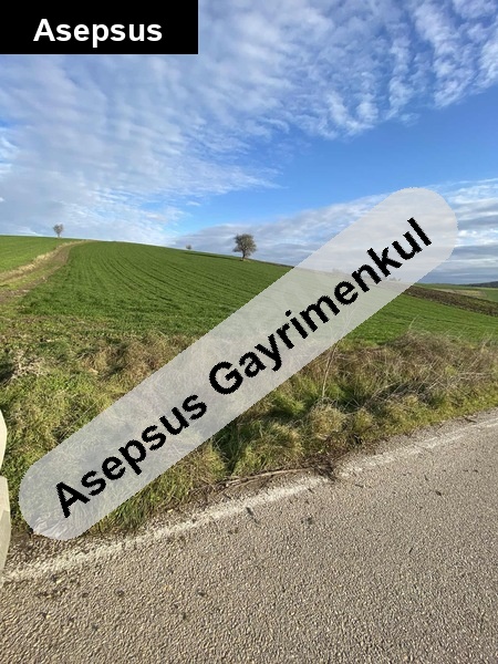 yol üzeri̇nde firsat tarla...