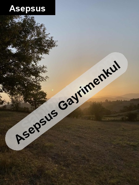 kaçirilmayacak firsat 22 dönüm gönen 'de su'yu olan