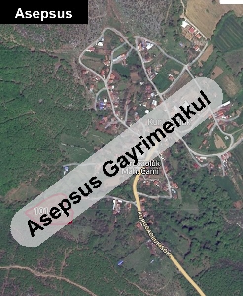 susurluk kurucaolluk köyün de 8293 m2 tarla