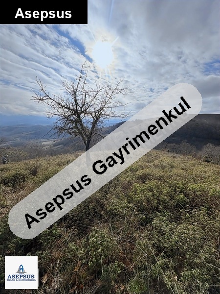 Asepsus Emlak'tan 3+1 sofular köyü 'sinde satılık arsa