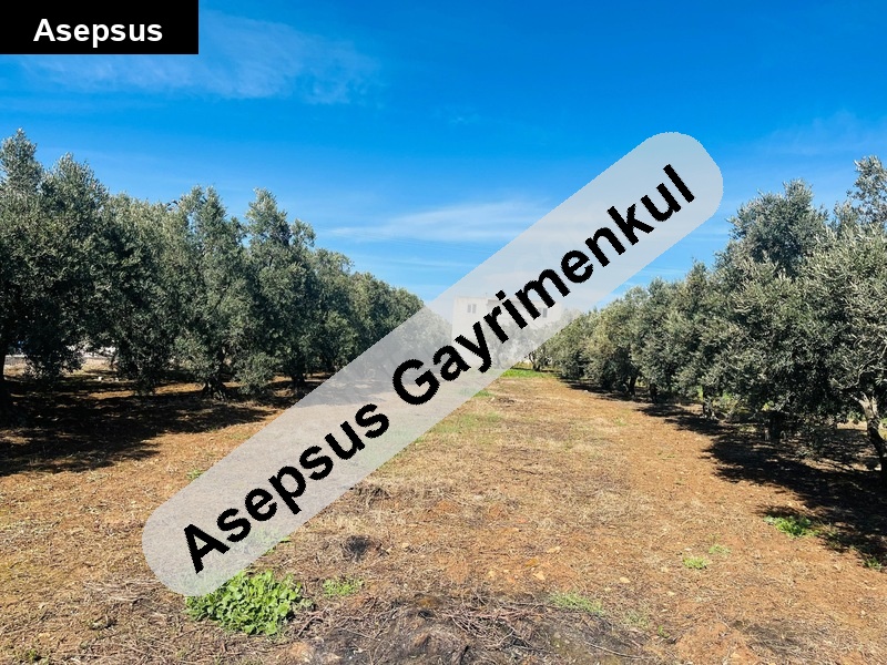 12 dönüm arsa aci̇l satilik sanayi̇ i̇marli