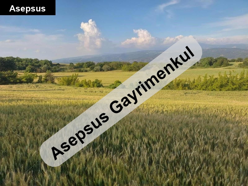 6850 metre kare dev arazi̇ sahi̇bi̇nden