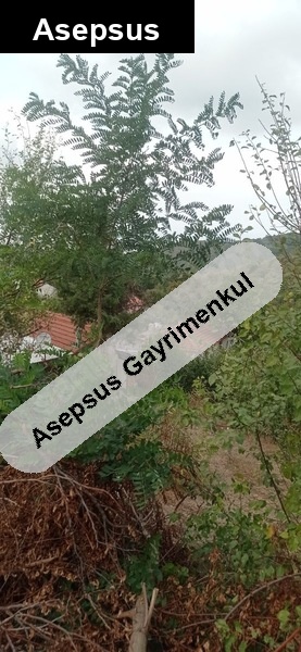 denize denizkente 9 kilometre koyin içinde köy içi imarı var