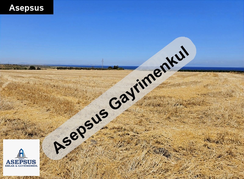 Asepsus Emlak'tan 3+1 kepekli köyü 'sinde satılık arsa