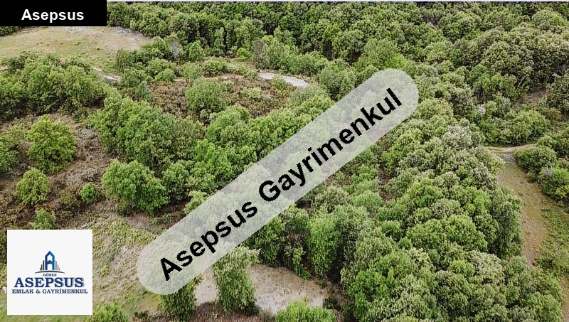 Asepsus Emlak'tan 3+1 kuruoba köyü 'sinde satılık arsa