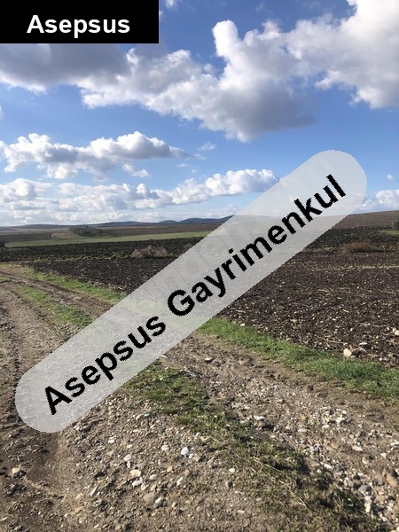 balikesi̇r şi̇ri̇nçavuşta osb ye yola cephe (kısa süreliğine fiyat)