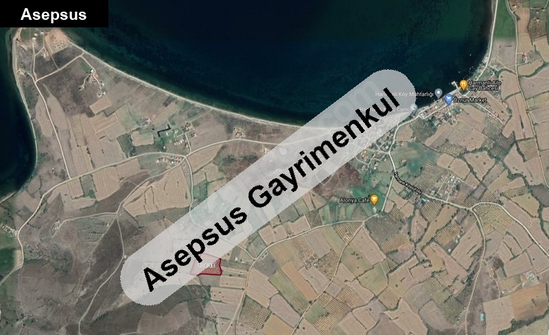 sahi̇bi̇nden satilik 11 dönüm erdek harmanli