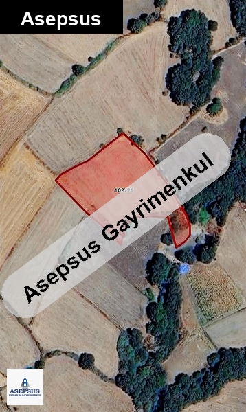 Asepsus Emlak'tan 3+1 yeşilköy köyü 'sinde satılık arsa