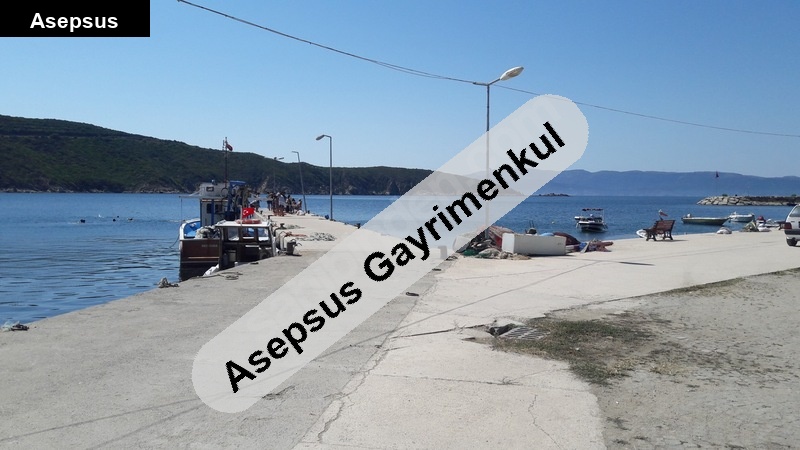 sahibinden doğanlarda satılık bahçe