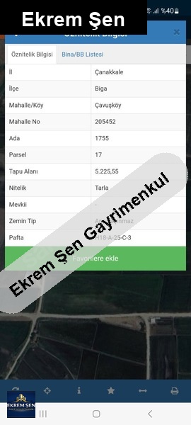 ACİL SATILIK! Biga Çavuşköy’de Yola Cepheli, Verimli 5.225 m² Tarla – Kaçırılmayacak Fırsat!