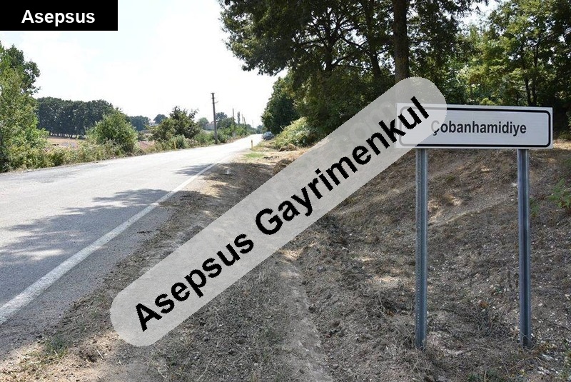 sahi̇bi̇nden çobanhami̇di̇ye köyünde satilik 4440 m2 tarla