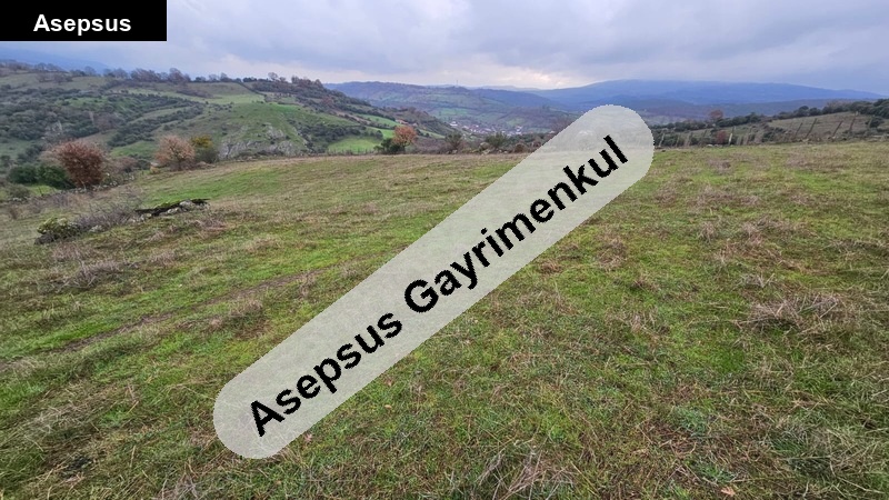 balikesi̇r balya dereköy 10.033.91 m2 köye yakin tarla